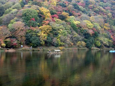 嵐山　京都 嵐山,京都,大堰川の写真素材