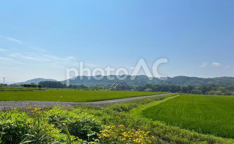 田んぼと山と橋 橋,田んぼ,田園の写真素材
