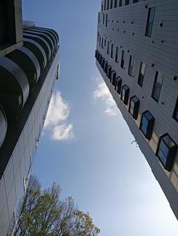 Photo, sky, building, clearance, 