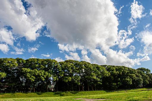 森林と散歩道と青空 森林と散歩道と青空 青空,雑木林,真夏の写真素材