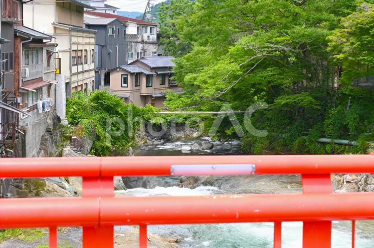 修善寺の赤橋から 修善寺,赤い,橋の写真素材