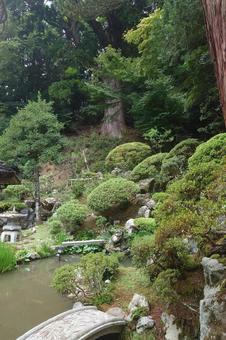 鳥取県-豊乗寺-庭園と大スギ 豊乗寺,寺,宇谷山の写真素材
