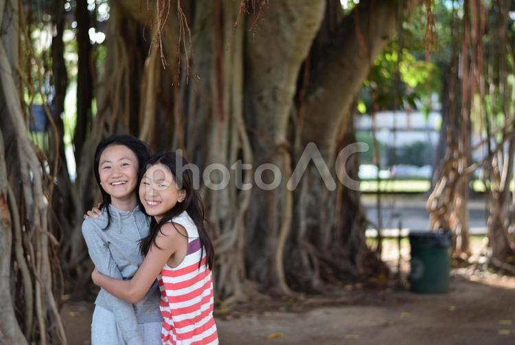 姉妹の笑顔と巨大な木 大木,姉妹,はわいの写真素材
