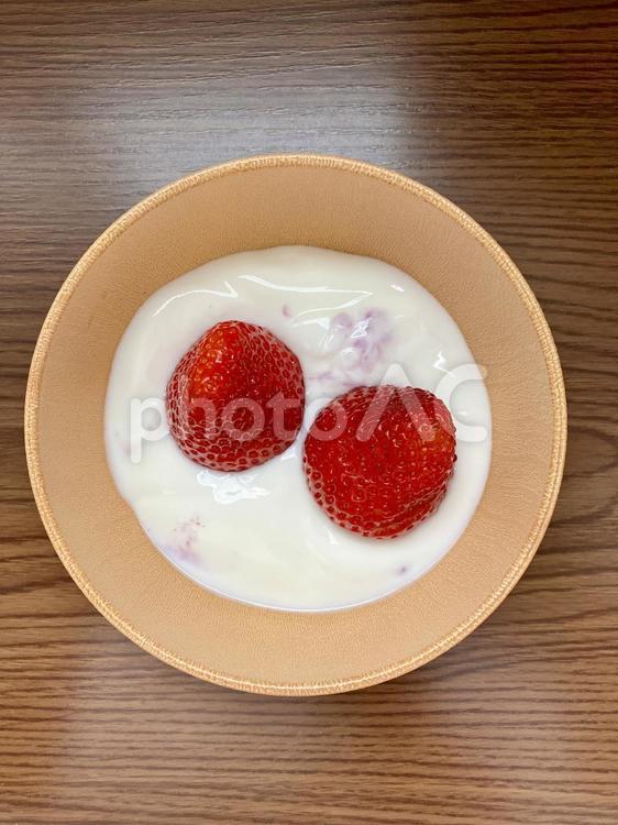 旬の苺をのせたヨーグルトの朝食 いちご,ヨーグルト,デザートの写真素材