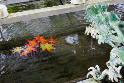 鹿島御児神社⑸ 鹿島御児神社⑸の写真