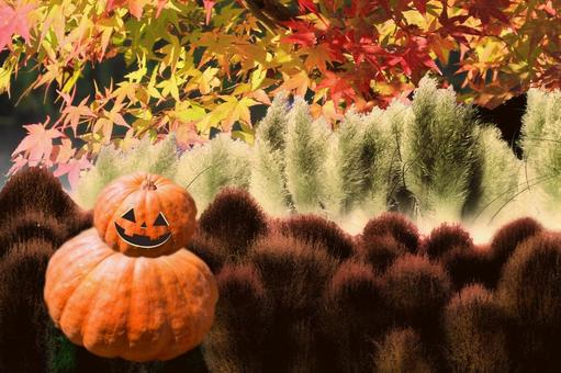 秋イメージ素材/ハロウィン 秋イメージ素材/ハロウィン ハロウィン,秋,風物詩の写真素材