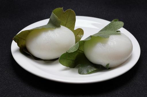 柏餅 柏餅 柏餅,かしわもち,もち米粉の写真素材