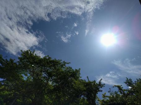 光 光の写真