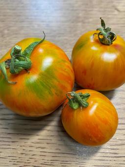 ゼブラ模様の入っているトマト ゼブラ模様の入っているトマト トマト,レッドゼブラトマト,野菜の写真素材
