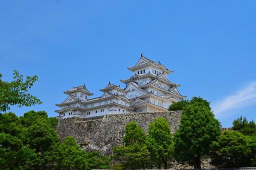 姫路城03 姫路城03 姫路城,世界遺産,城の写真素材
