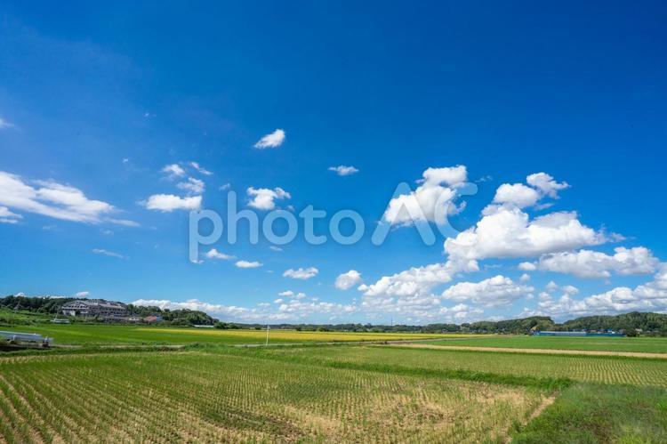 田園風景 田園風景,田舎暮らし,雲の写真素材