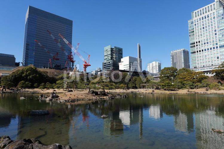 旧芝離宮恩賜庭園の日本庭園と東京のビル群 旧芝離宮恩賜庭園,日本庭園,池の写真素材