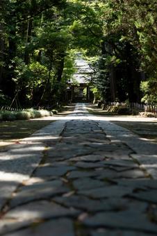 ［神奈川県鎌倉市］寿福寺 鎌倉,寿福寺,参道の写真素材