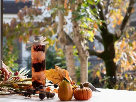 かぼちゃと紅葉とアクアリウム かぼちゃ,木の実,紅葉の写真素材