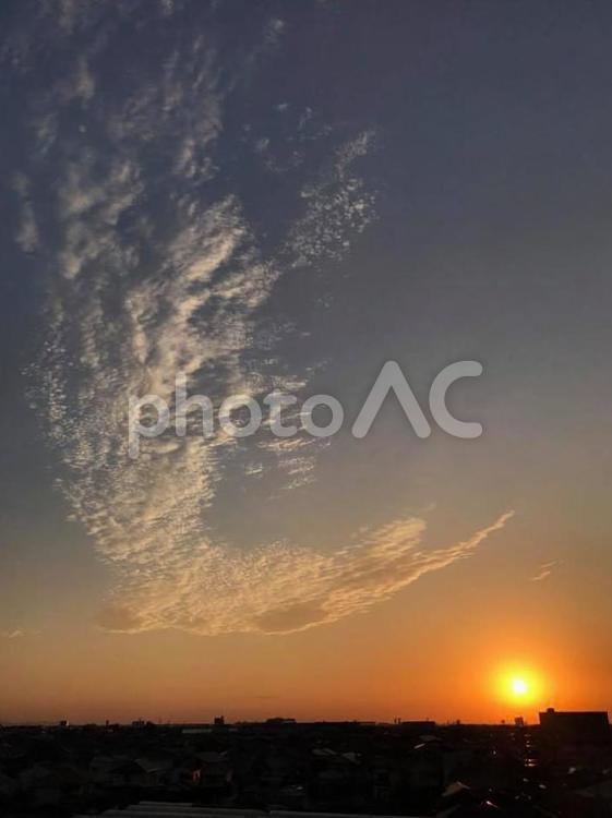 大空をはばたく鳥のような雲と夕日 雲,鳥,大空の写真素材