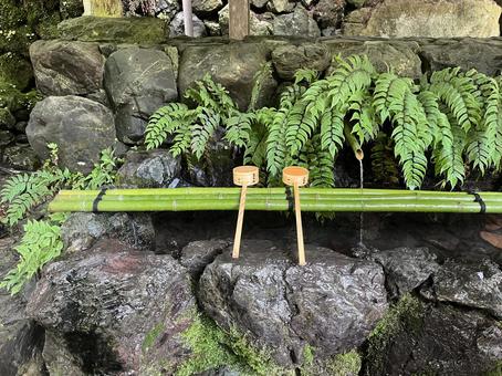 貴船神社 貴船,神社,手水舎の写真素材