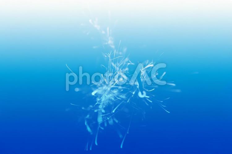 線香花火　まとまり　反転 線香花火,花火,火花の写真素材