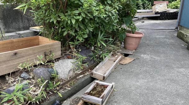 片付け途中の庭 片付け途中の庭 木,引き出し,鉢の写真素材