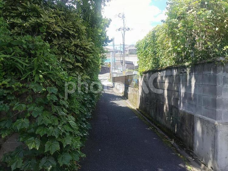 路地から見たその先の景色 風景,日差し,空の写真素材
