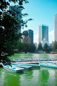 公園の池とボートとビル 公園の池とボートとビルの写真