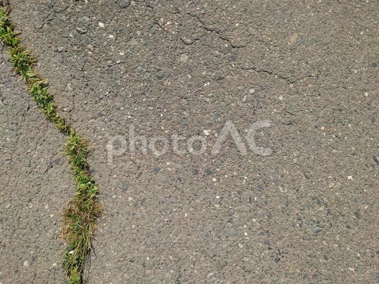 土汚れた道路ひびから草（コピースペース） テキストスペース,ひび割れ,草の写真素材