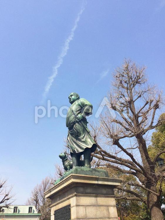 東京風景・上野公園 上野公園,上野恩賜公園,西郷隆盛像の写真素材