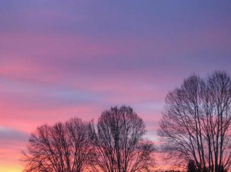 夕焼け14 夕焼け14の写真
