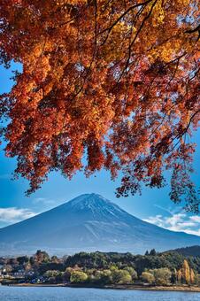 もみじのれんと富士山 空,富士山,風景の写真素材