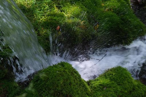 水辺 水辺の写真