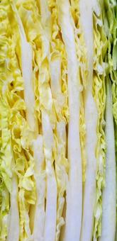 白菜の断面 野菜 白菜の断面 野菜 野菜,白菜,断面の写真素材