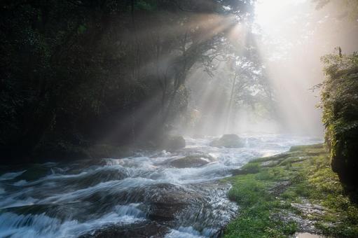 熊本-【菊池渓谷の光芒】の写真