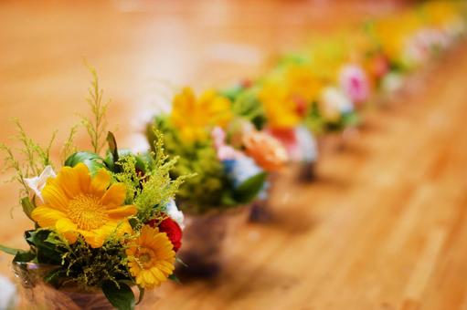 並んだ花　発表会　右テキストスペース 花,卒園,卒園式の写真素材