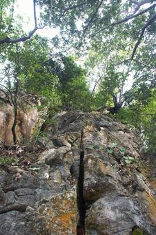 岩 岩,裂け目,割れ目の写真素材