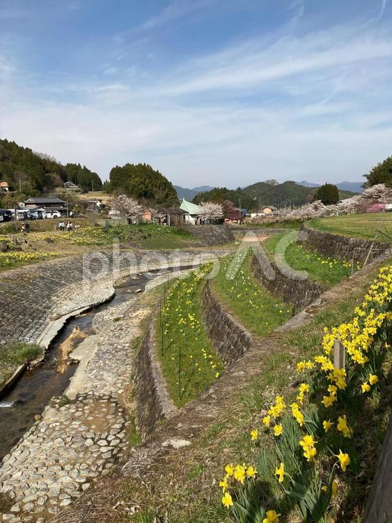 小川の風景 小川,田舎,景色の写真素材