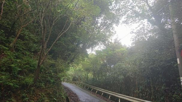 朝の山道 朝の山道の写真
