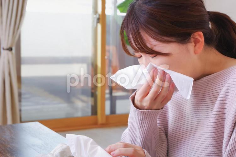 ティッシュで鼻をかむアジア人女性 病気,鼻水,鼻をかむの写真素材