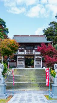 三国神社の紅葉 三国神社,秋,紅葉の写真素材