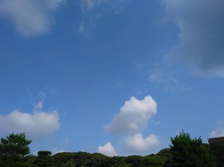 風景写真 風景写真の写真