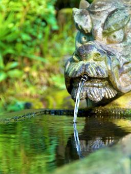 水舎 水舎の写真