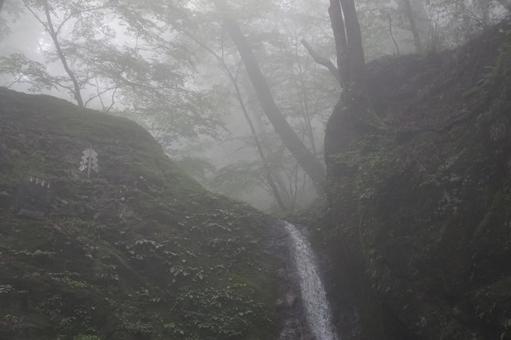 滝 滝の写真