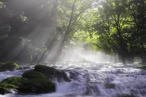 熊本-【菊池渓谷の光芒】 熊本-【菊池渓谷の光芒】 熊本,菊池渓谷,川の写真素材
