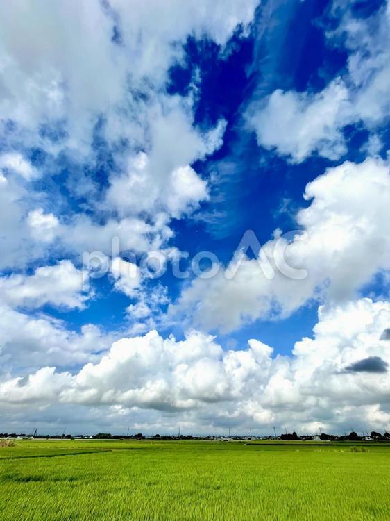 夏空と田園風景　23-12 田園風景,田園,田んぼの写真素材