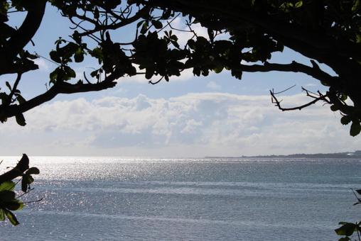 海の写真