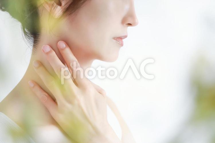 女性の横顔　フェイスライン 女性,横顔,フェイスライnの写真素材