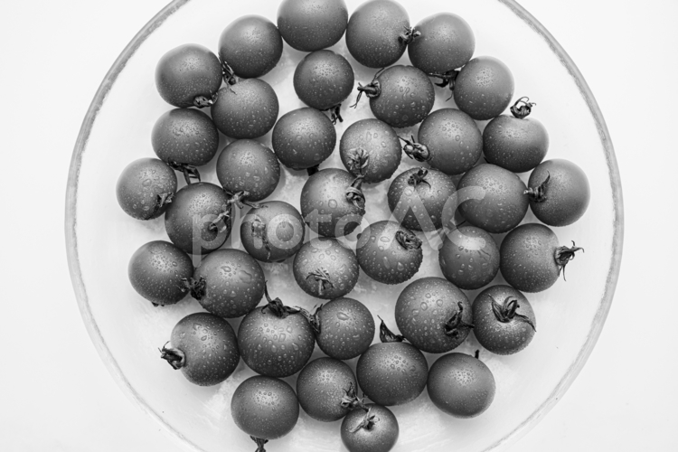 瑞々しいミニトマト５（白黒） ミニトマト,プチトマト,夏野菜の写真素材