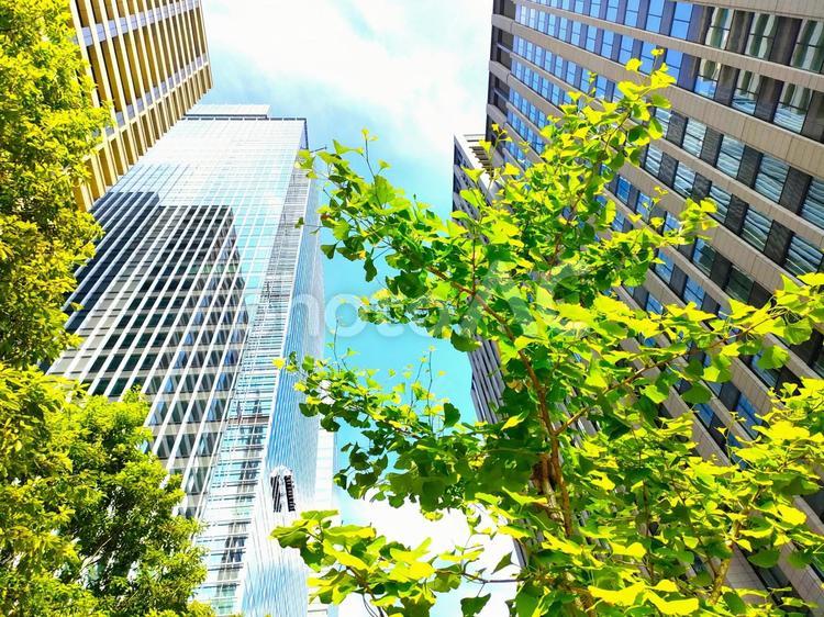 東京のビル街と空と新緑 東京,ビル街,青空の写真素材