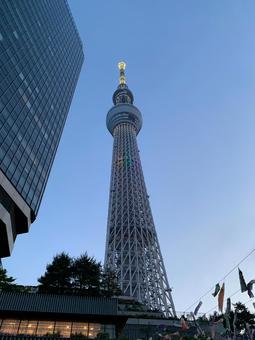 Looking up at the Skytree②, JPG Looking up at the Skytree②, JPG