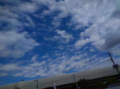 青い空 青い空の写真