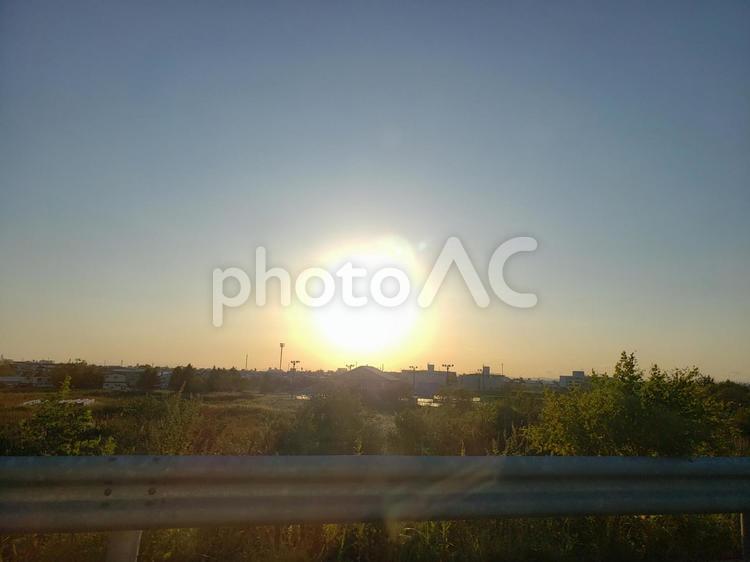 大きな夕日 何人もありません,屋外で,木の写真素材