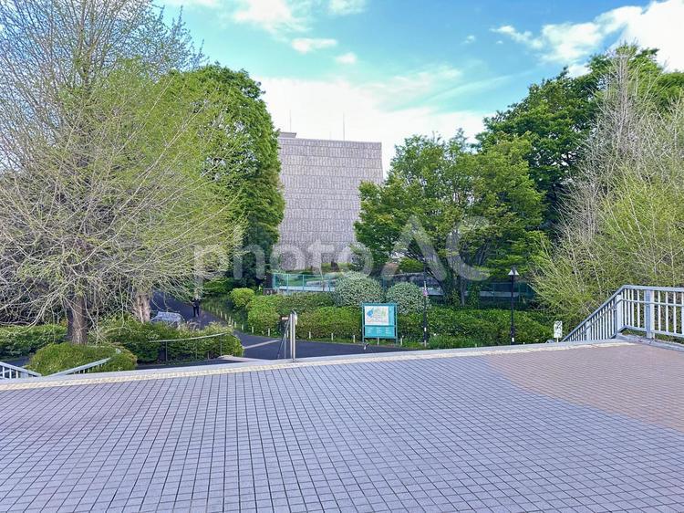 上野恩賜公園　上野公園周辺　パンダ橋付近 上野恩賜公園,上野公園,台東区の写真素材
